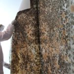 mold removal